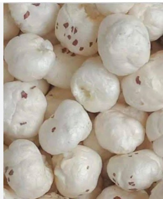 Premium Indian phool makhana
